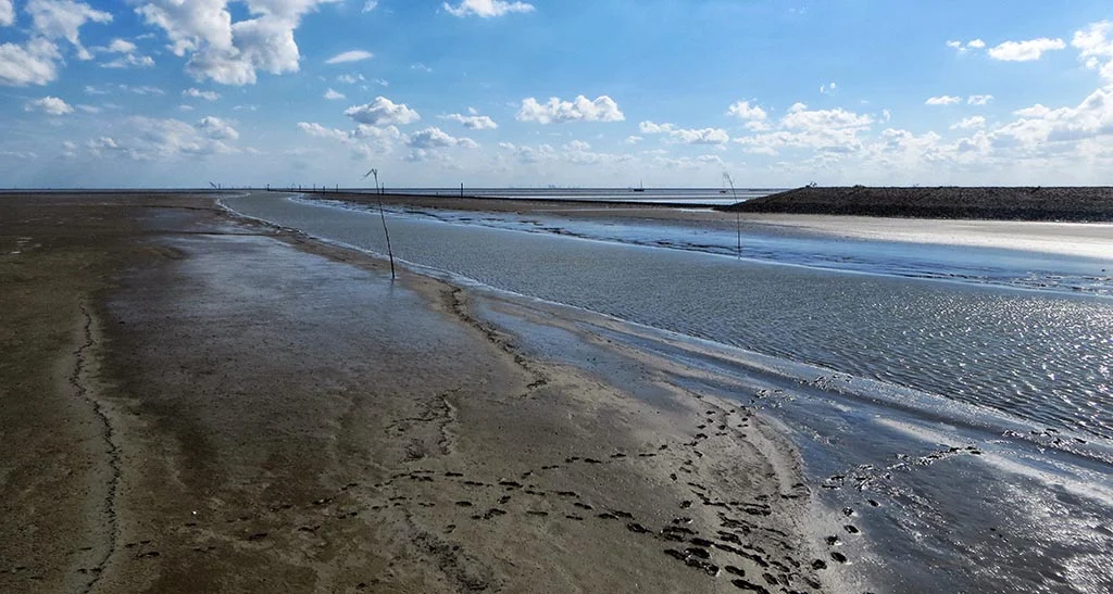 East Waddensea