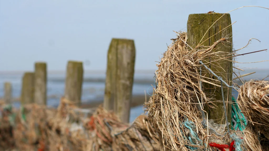 Northsea Coast